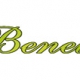 Beneit logo