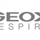 Geox logo