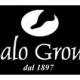 Italo Forme logo