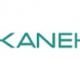 Kaneko logo