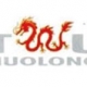 Two Huolong logo